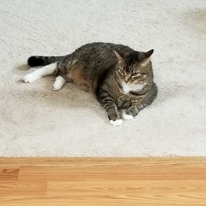 Meet your Posher, Kristin